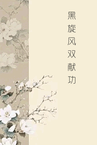 黑旋风双献功